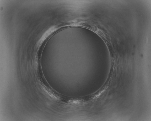 X0000064050295200601271234
