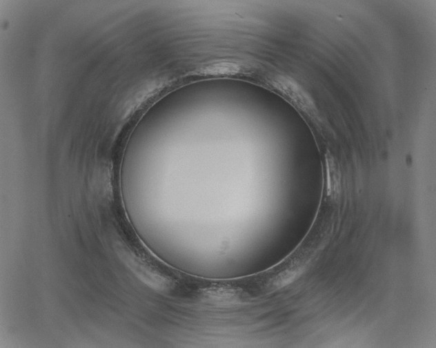 X0000064050300200601271234