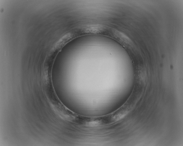 X0000064050312200601271234