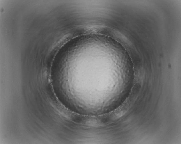 X0000064050314200601271234