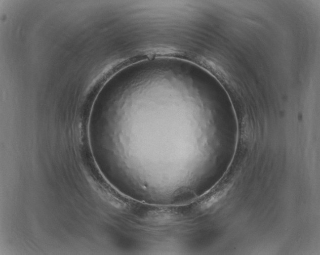 X0000064050351200601271233