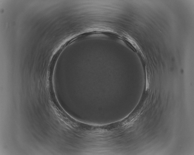 X0000064050387200601271232