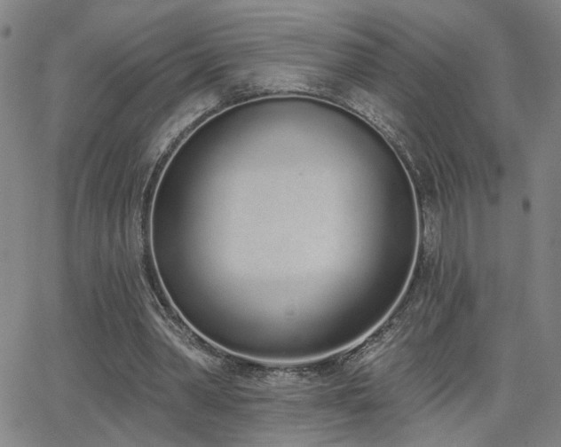 X0000064050390200601271232