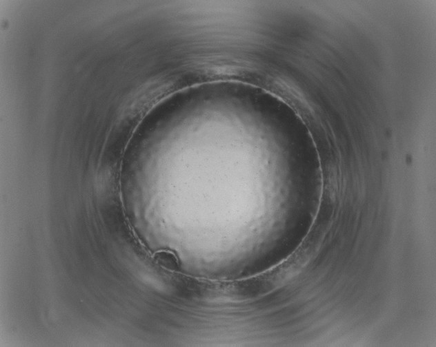 X0000064050410200601271232