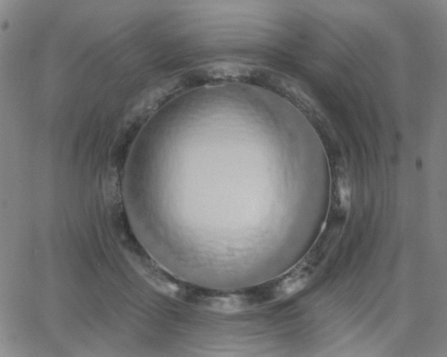 X0000064050411200601271232