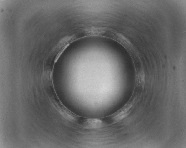 X0000064050429200601271232