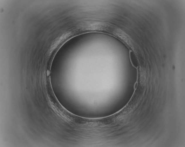 X0000064050482200601271231