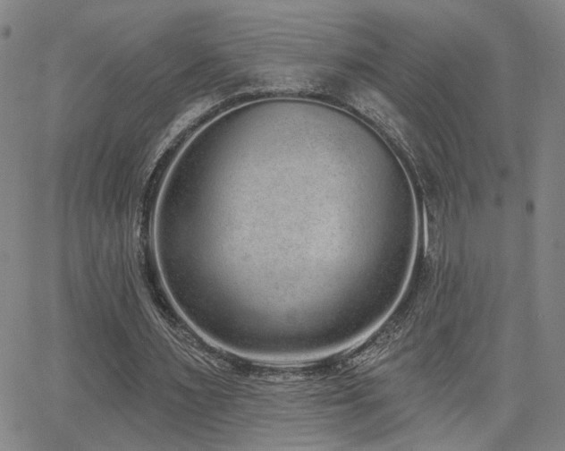 X0000064050483200601271231