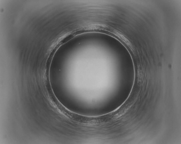 X0000064050485200601271231