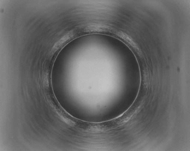 X0000064050489200601271231