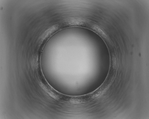 X0000064050490200601271231