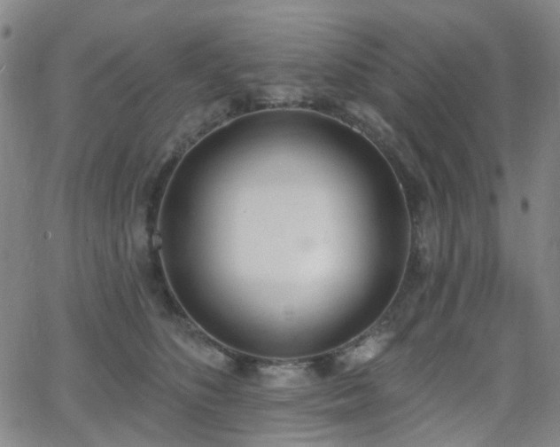 X0000064050516200601271230