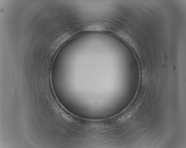 X0000064050529200601271229