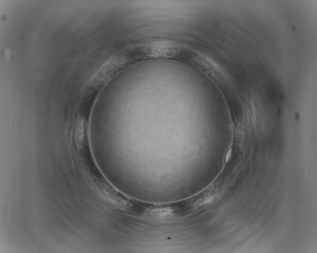 X0000064050554200601271230
