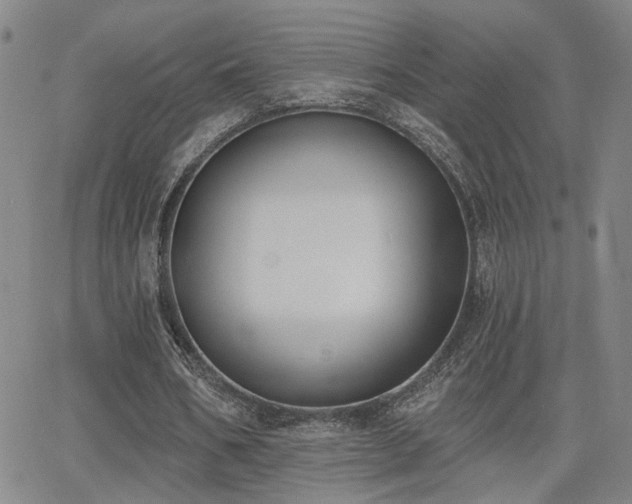 X0000064050578200601271229
