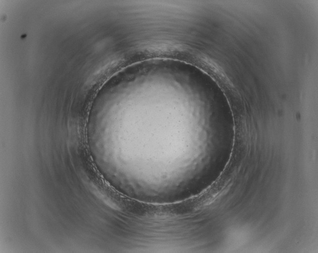 X0000064050590200601271229