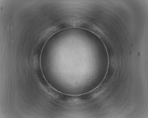 X0000064050594200601271229