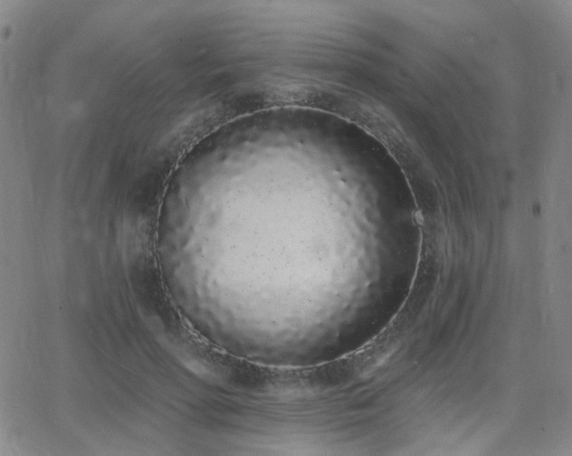 X0000064050598200601271229