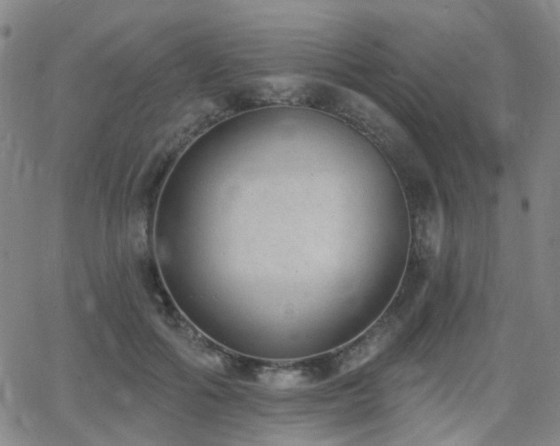 X0000064050602200601271229