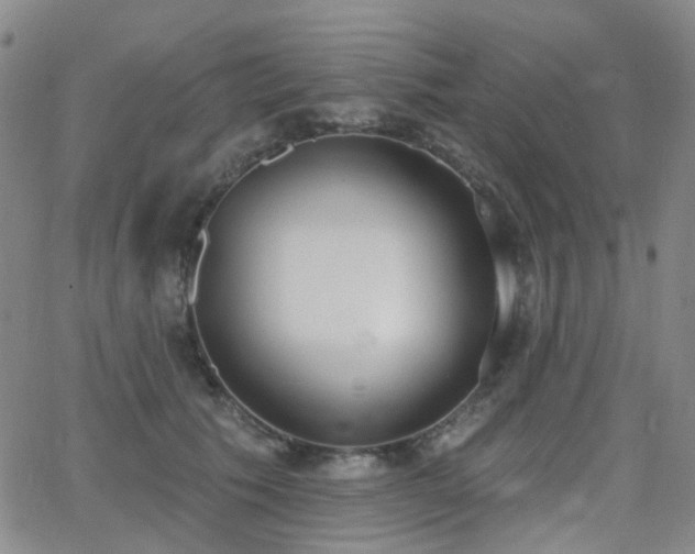 X0000064050609200601271229