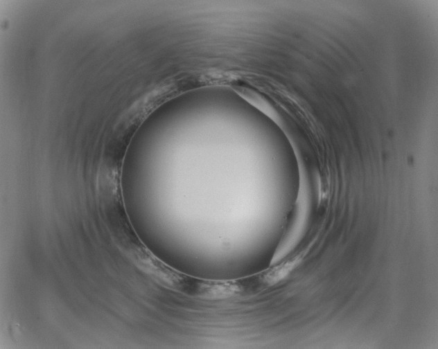 X0000064050621200601271229