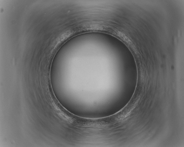 X0000064050625200601271228
