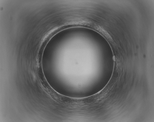 X0000064050628200601271228