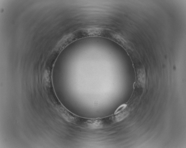 X0000064050667200601271228