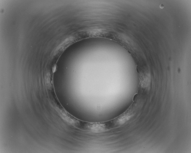 X0000064050670200601271229