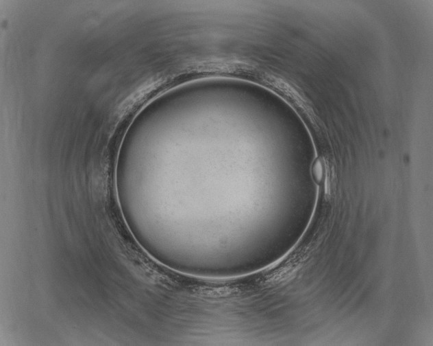X0000064050675200601271228