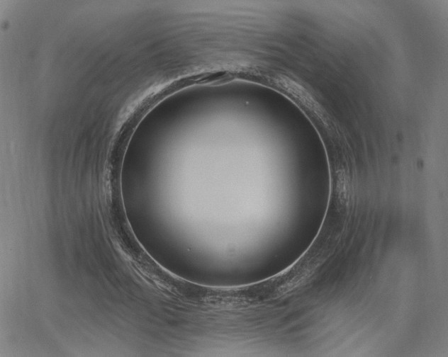 X0000064050676200601271228
