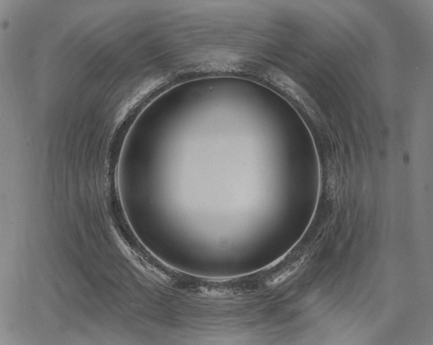 X0000064050677200601271228
