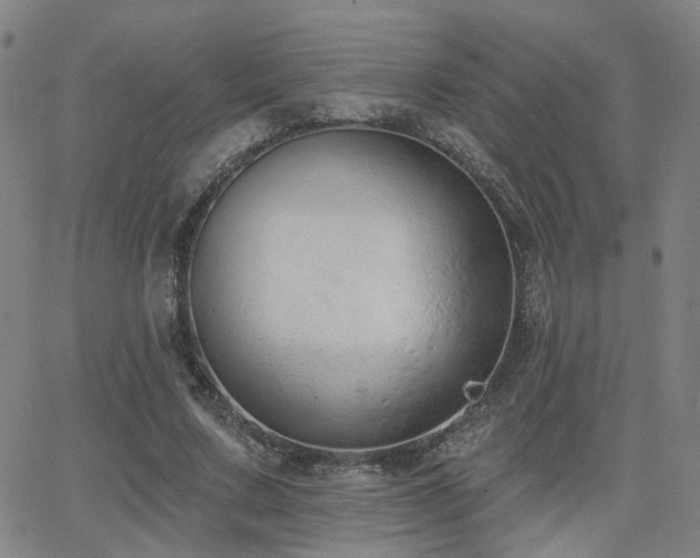 X0000064050683200601271228