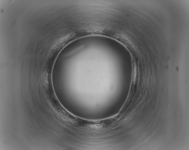X0000064050692200601271227