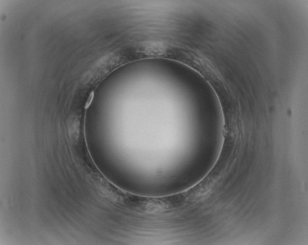 X0000064050697200601271227