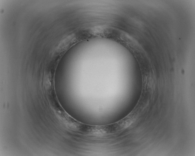 X0000064050702200601271227