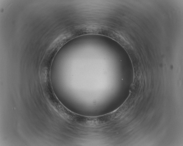 X0000064050744200601271227