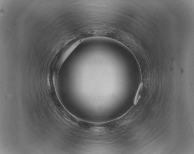 X0000064050748200601271227