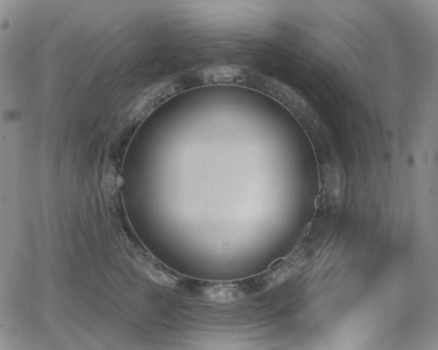 X0000064050761200601271227