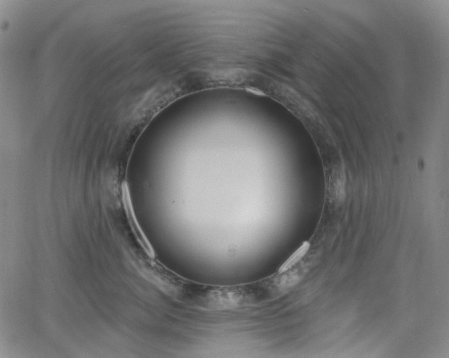 X0000064050764200601271227