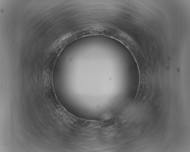 X0000064050773200601271226