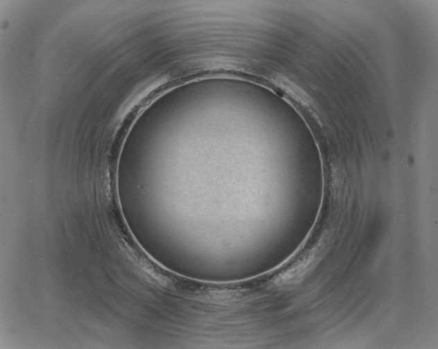 X0000064050782200601271226