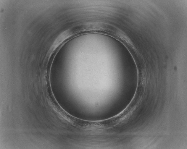 X0000064050786200601271226