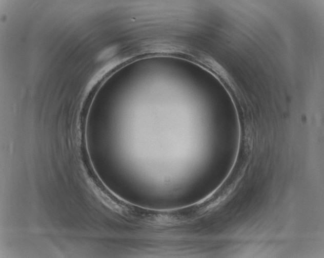 X0000064050787200601271226