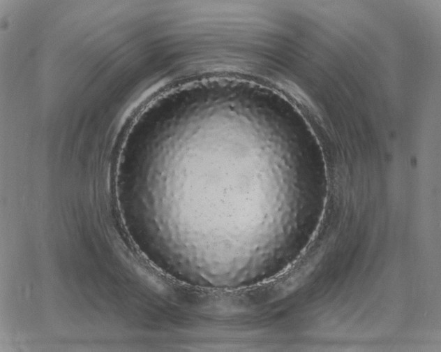 X0000064050790200601271226