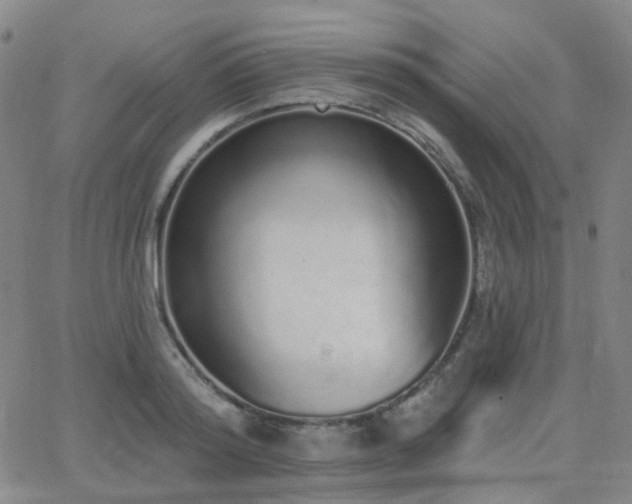 X0000064050796200601271226