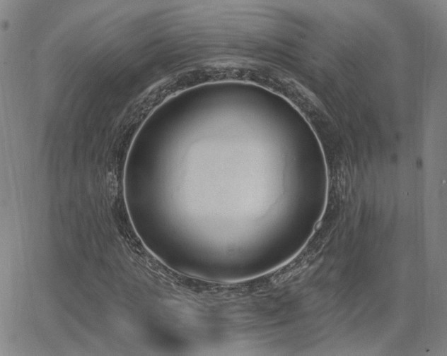 X0000064050821200601271225