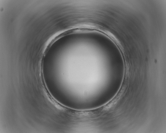 X0000064050862200601271225