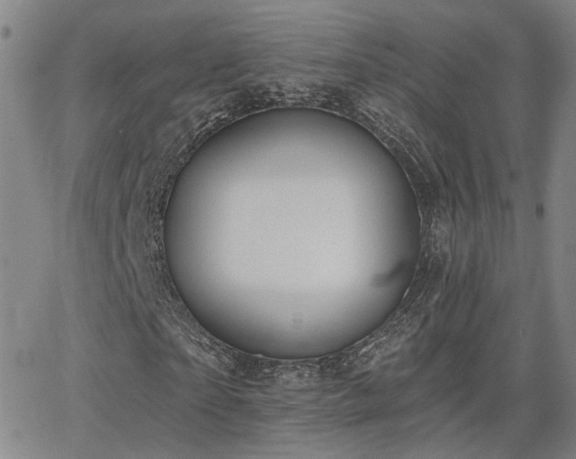X0000064050865200601271225