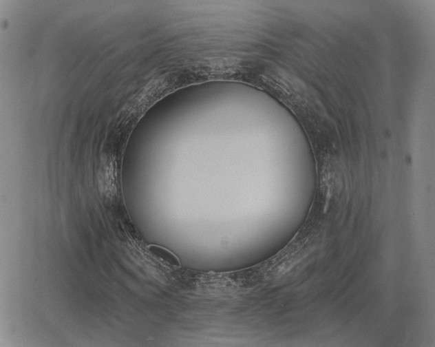 X0000064050866200601271225